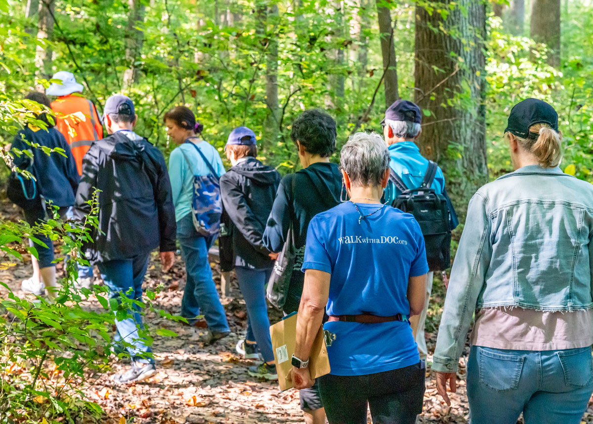 Image of a group of nine people walking on a forest hiking trail